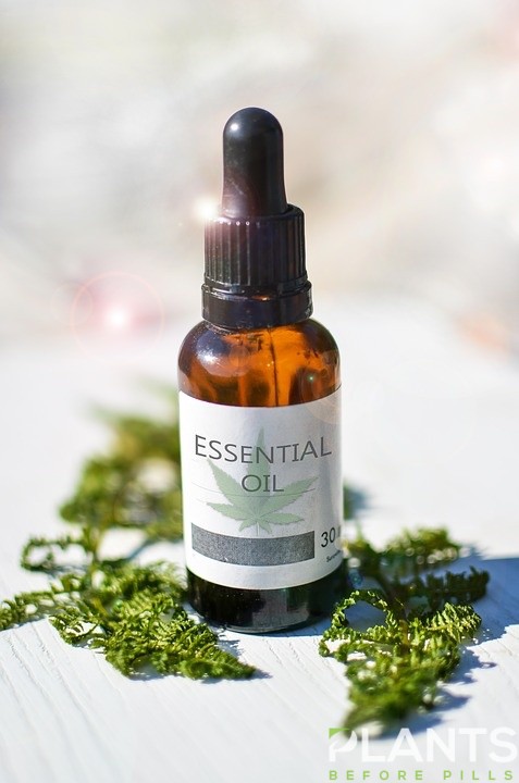 Cannabis Essential Oil
