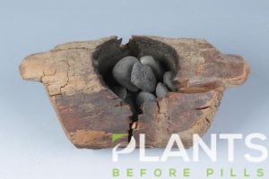 Chinese Tomb with Cannabis