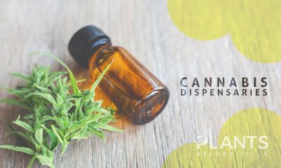 Cannabis Dispensaries