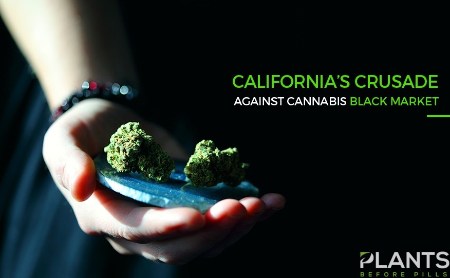 California Authorities Nabs $30M Worth of Illegal Cannabis Products ...