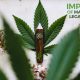 The Different Impacts of Marijuana Legalization