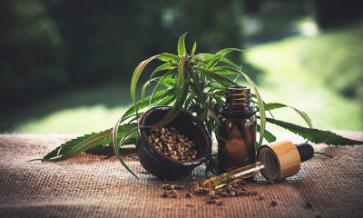 How You Can Enjoy CBD Oil