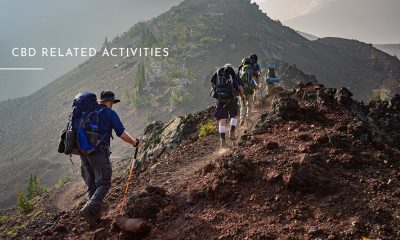 CBD-Related Activities to Do Before the Year Ends