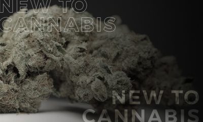 Why be in Cannabis Community