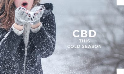 Cold Season Activities to Do with CBDCold Season Activities to Do with CBD