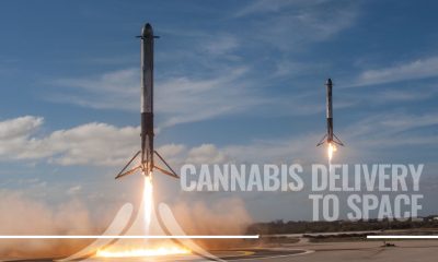 SpaceX to Bring Cannabis Delivery to Space