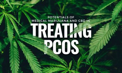 Medical Marijuana, CBD, and PCOS