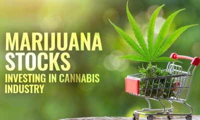 Marijuana Stocks, Cannabis Industry