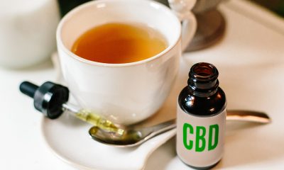 Celebrating World NGO Day with Cannabis Products