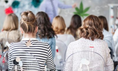 Cannabis Degree Program