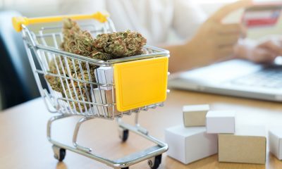 A Brief Guide to Buying CBD Online