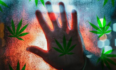 Life in Quarantine Coping with CBD, Cannabis