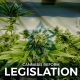 Cannabis Reforms Legislation