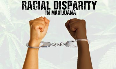 Racial Disparity in Marijuana Searches and Arrests