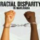 Racial Disparity in Marijuana Searches and Arrests