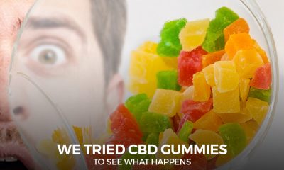 CBD Gummies To See What Happens