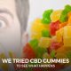 CBD Gummies To See What Happens
