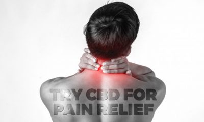 cbd for pain relief