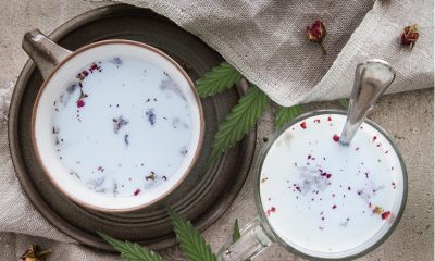 CBD Infused Drinks. CBD Moon Milk Recipe