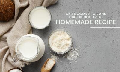 CBD Oil Dog Treats