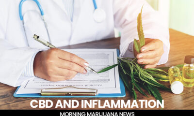 CBD and Inflammation