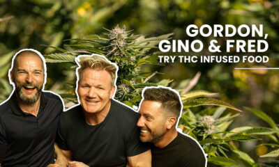 THC Infused Food In San Francisco