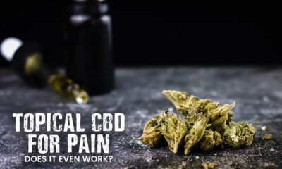 CBD for Pain