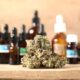 CBD-Infused Products in the Market
