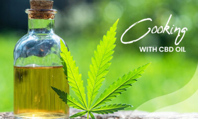 CBD Oil