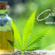 CBD Oil