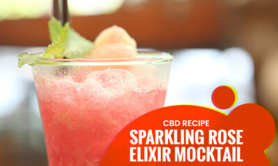 Rose Elixir Mocktail