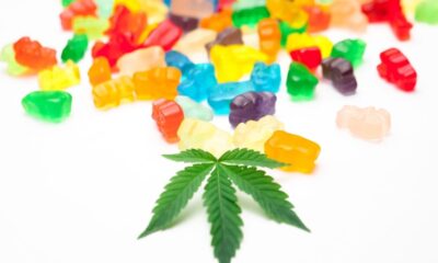 CBD Gummies