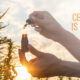 CBD Oil Is Made