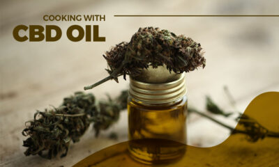 CBD Oil
