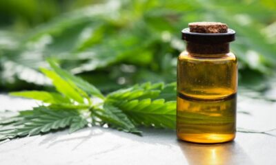 CBD Oil and Tinctures