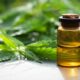 CBD Oil and Tinctures