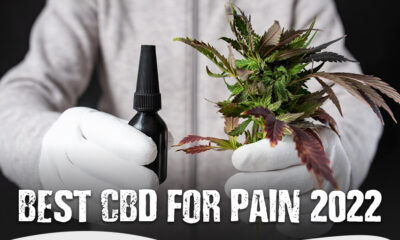 CBD for Pain 2022