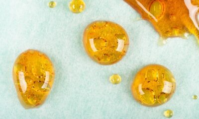 what is CBD Distillates