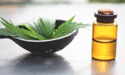 CBD Oil