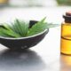 CBD Oil