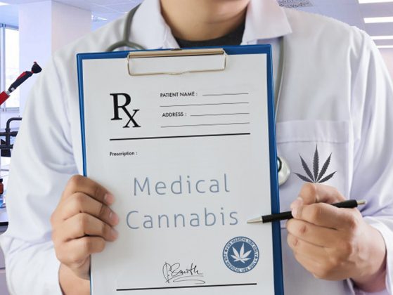 Reasons Marijuana Should Be A Medical Option | Plants Before Pills