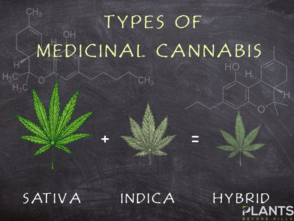 Medical Cannabis