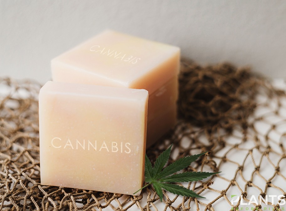 Cannabis Infused Beauty Products