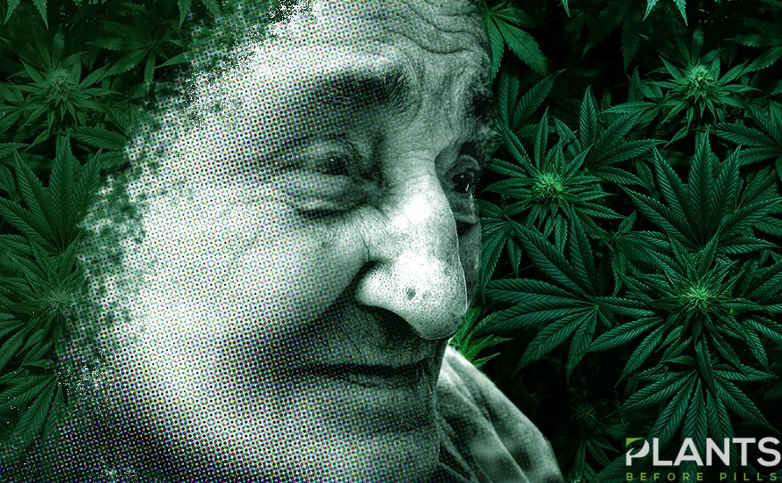 Alzheimer's Disease and CBD