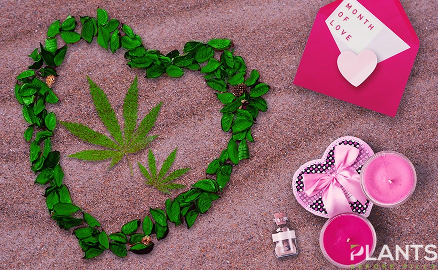 Cannabis this Valentines