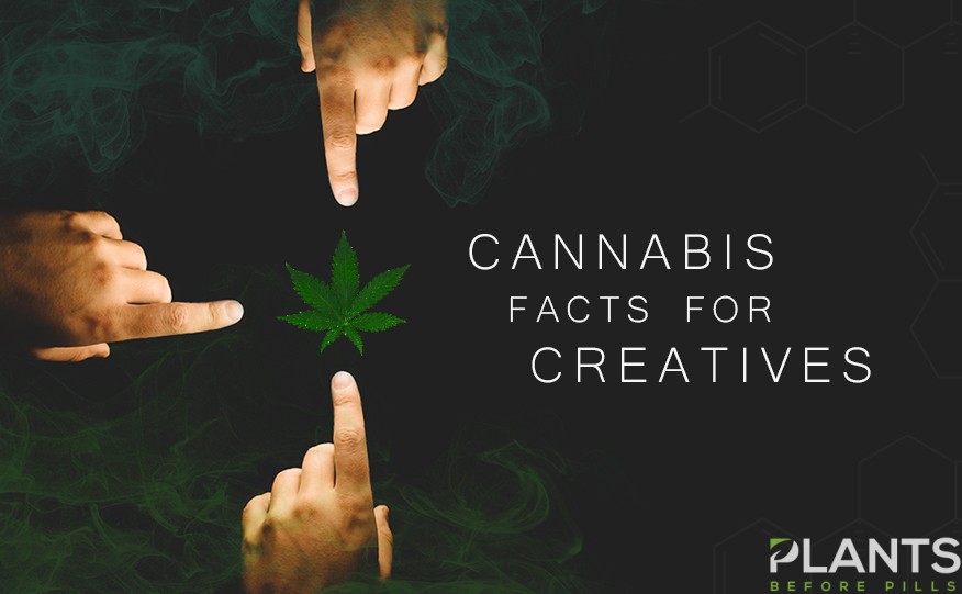 Cannabis Facts for Creatives