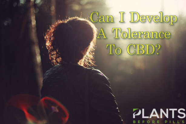 CBD Tolerance