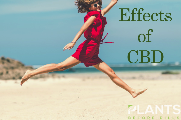 CBD Effects