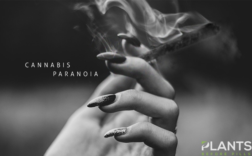 How To Counter Cannabis Paranoia