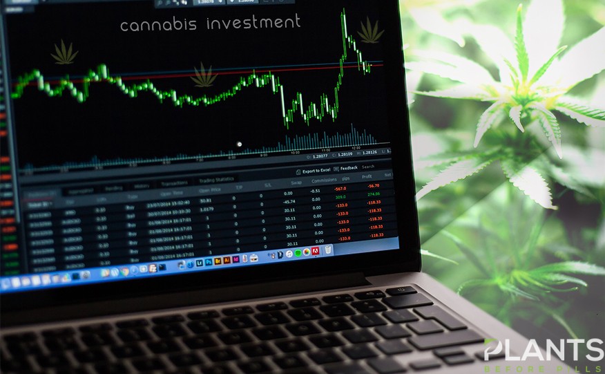 Cannabis Investments